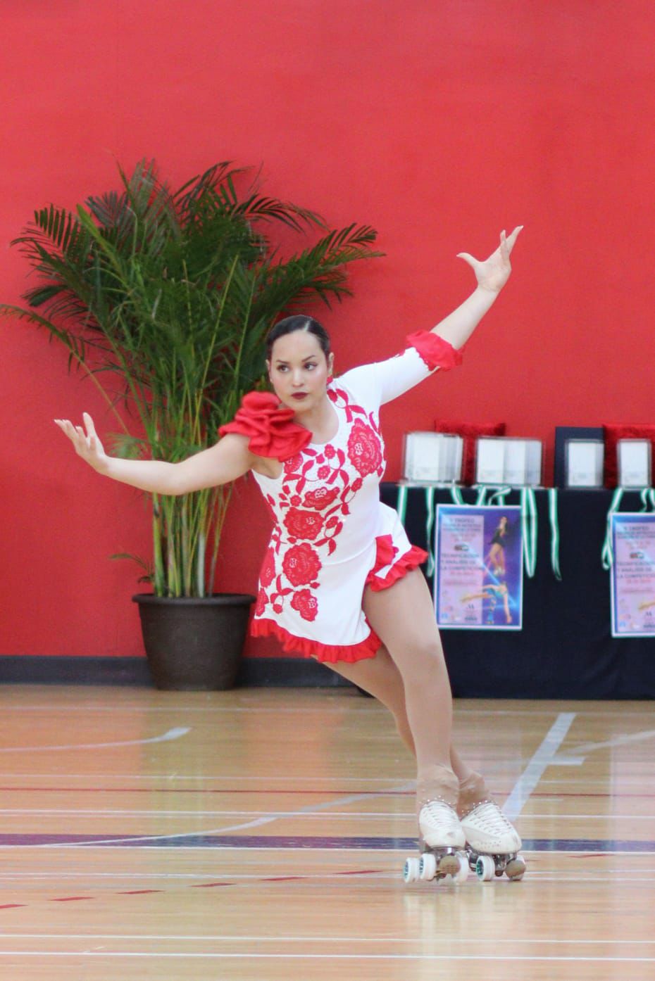 Modalidad danza artistico